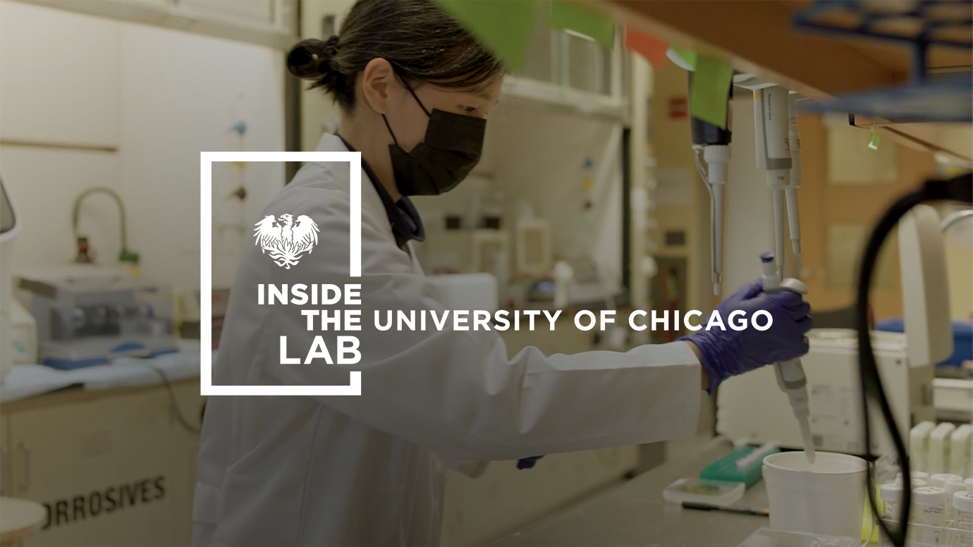 Inside The Lab | University Of Chicago News